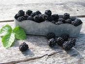 1044 - Brombeeren