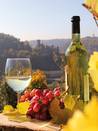 1167 - Im Weinberg