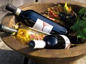 1143 - Wein in Holzschale