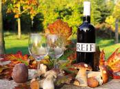 1168 - Wein mit Steinpilzen